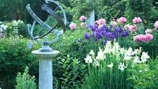 Garden focal point ideas