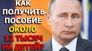 Как получить путинское пособие около 12 тысяч на детей?