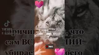 Причина не в тебе...всевышний знает что лучше для тебя  #shorts #tiktok