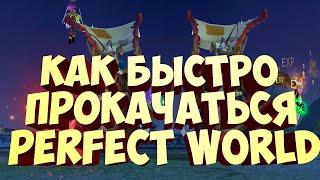 КАК БЫСТРО ПРОКАЧАТЬСЯ В PERFECT WORLD | ANDORA 1.5.1