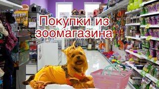 Покупки из зоомагазина