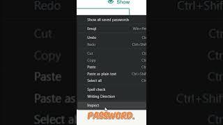 Reveal passwords on any website!