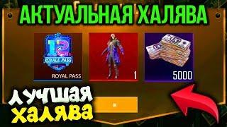 ЛУЧШАЯ ХАЛЯВА В PUBG MOBILE! БЕСПЛАТНЫЕ UC и ROYAL PASS 12 В PUBG MOBILE! - ХАЛЯВА ПУБГ МОБАЙЛ!