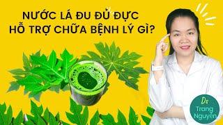 Lá đu đủ đực ứng dụng y học cổ truyền giúp giảm đường huyết và hỗ trợ tiêu hóa