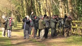 Twitchers bird watchers   Lynford Arboretum  UK 22mar15 1247p