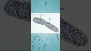 NCERT Diagram  06