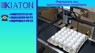 Маркировка яиц одноголовочным принтером MARK EGGS BOT с конвейером, маркиране на яйца KIATON