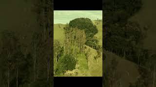TERRENO A VENDA - VILA SÃO BERNARDO - ARMAZÉM - SC