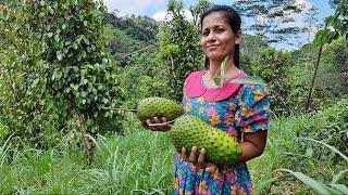 Soursop fruit recipe | Healthy Soursop juice | Salad recipe by Life in Village (English Subtitles)