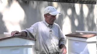 Deb's Big Backyard: Michael S. Thompson on Being a Beekeeper