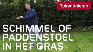 Schimmels en paddenstoelen in het gazon | Herfst | Tuinmanieren