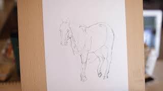 Ranchlands Art: Jill Soukup