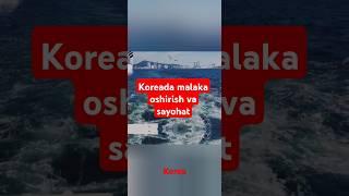 2019-20yil PNUYH da 1yil malaka oshirishdan esdalik #travel #trip #mountain #motivation #sea #ocean