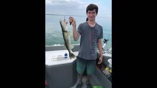 Lake Erie Walleye Fishing
