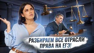 Отрасли права на ЕГЭ по обществознанию | Обществознание ЕГЭ | Умскул