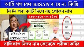 PM Kisan 18th Installment Release Date 2024 // Important News for all PM Kisan Beneficiaries //2024