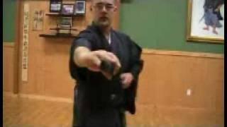 Iaido Basics: Chiburi and Noto, Part 2