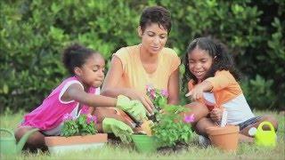 Take Care of Your Garden - The Spoken Word