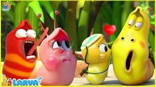 LARVA SEASON 3 EPISODE 05 ~ 126 / LARVA NEW VERSION 2025 - LARVA CARTOON MOVIES | FUNNY CLIP 2025