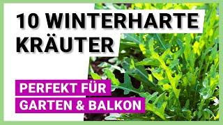 10 winterharte Kräuter für Garten und Balkon