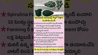 Business Startup Idea || Spirulina Farming Business Idea || New Business Ideas || Business Growth
