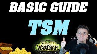 World Of Warcraft : Basic TSM Guide