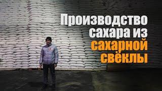 Производство сахара из сахарной свёклы