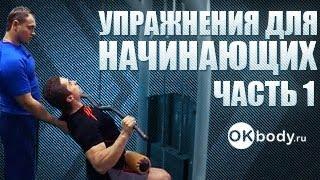 БОДИБИЛДИНГ упражнения для начинающих часть 1