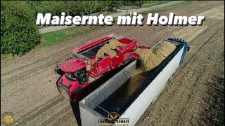 Maisernte mit Holmer! LU Marten & Teune Mit Selbstfahrer im Lohnauftrag Mais Häckseln & Verladen