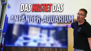 Die GESAMTKOSTEN des Anfängerbeckens?! - PlanktonPlus Aquaristik