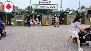 Toronto Zoo Tour Walkthrough All Animals (Full Video)