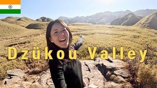 Korean Falls in Love with Dzükou Valley