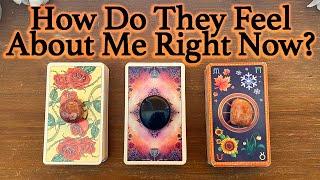 WHAT DOES HE/SHE THINK AND FEEL ABOUT ME RIGHT NOW?| Pick A Card | Love Tarot Reading (Timeless)