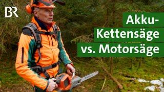 Motorsägen Vergleich: Akku-Kettensäge vs. Motorsäge mit Benzin | Sägen im Wald | BR