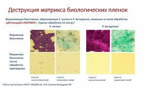 Вебинар: "Применение энзимов из класса гидролаз, лиаз и оксидоредуктаз для борьбы с биопленками".