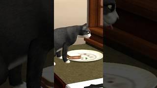 The cat ATE MY SANDWICH!#shorts #thesims2 #thesims #catshorts #cat #friends #funnyshorts