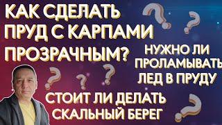 Как сделать пруд с карпом прозрачным? Нужно ли проламывать лед в пруду. Скальный берег.