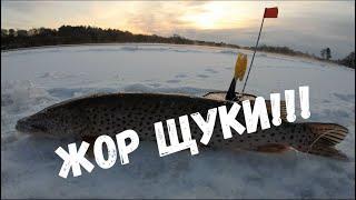 ЛОВЛЯ ЩУКИ НА ЖЕРЛИЦЫ ПО ПЕРВОМУ ЛЬДУ 2020! ХОРОШИЙ УЛОВ / FISHING, WINTER FISHING.