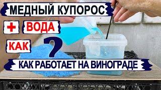  Если заменить БОРДОСКУЮ ЖИДКОСТЬ на ЧИСТЫЙ МЕДНЫЙ КУПОРОС. Как ЭТО работает на милдью винограда.