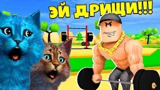 БИТВА КАЧКОВ И НУБОВ  ДОНАТЕРОВ СИМУЛЯТОР КАЧКА В РОБЛОКС LIFTING SIMULATOR ROBLOX КОТЁНОК ЛАЙК