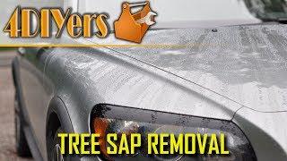 How to Remove Tree Sap from your Vehicle's Paint - 4 Different Methods