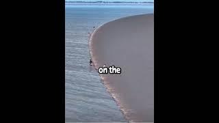 Cursed Beach - Glitch in the Matrix #glitch #shortsvideo #glitchinthematrix #beach #sand #water