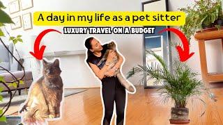 A day in my life as a pet sitter| VIPets #cat #animal #dog #vipets