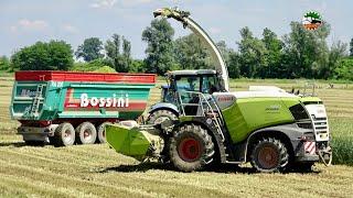 Claas Jaguar 990 | Fendt 728 - 724 | AGRICOSTANZO | BISAGNO | BUROCCO