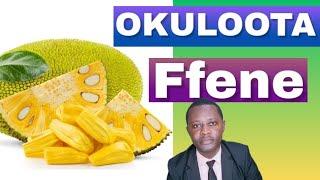 OKULOOTA NGA OLYA FFENE kitegezaki By Brother Steven