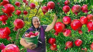 Harvesting Fresh Large Pomegranates and Making Jam and Juice for Winter!