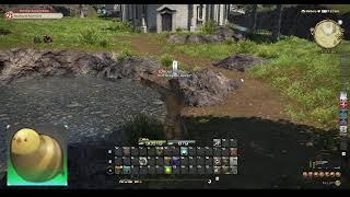 FFXIV No GP Big Fishing [248] Catastrophizer