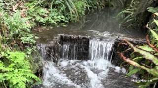 Relaxing sound of water  stream sleep sound