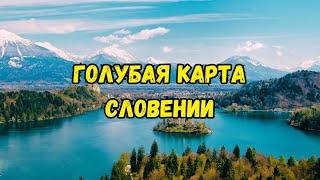 Как получить голубую карту Словении | Modra karta