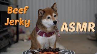 [ASMR] Dog Eating Homemade Dehydrated Beef Jerky || Sheba the Shiba Inu